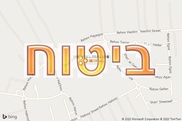 סוכן ביטוח בתל עדשים