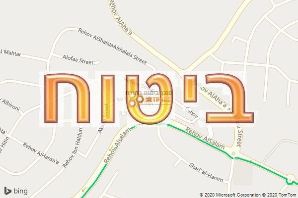 סוכן ביטוח בחורה