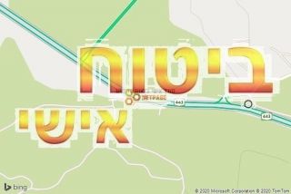 סוכן אישי בנאות קדומים