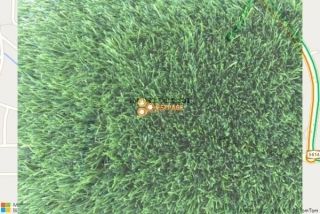 דשא סינטטי בקלנסווה