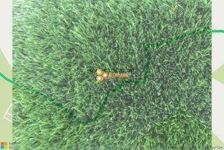 דשא סינטטי במרום גולן