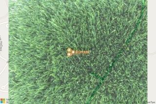 דשא סינטטי בספסופה