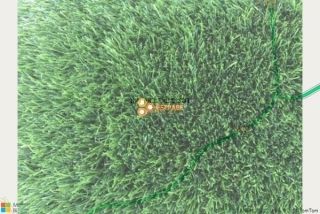 דשא סינטטי בעין זיוון